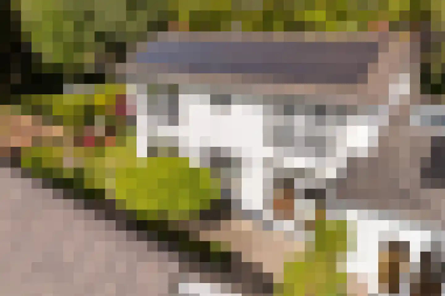 Van Renesselaan 43 A Zeist thumbnail 74