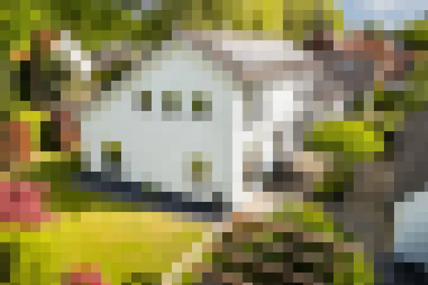Van Renesselaan 43 A Zeist thumbnail 8