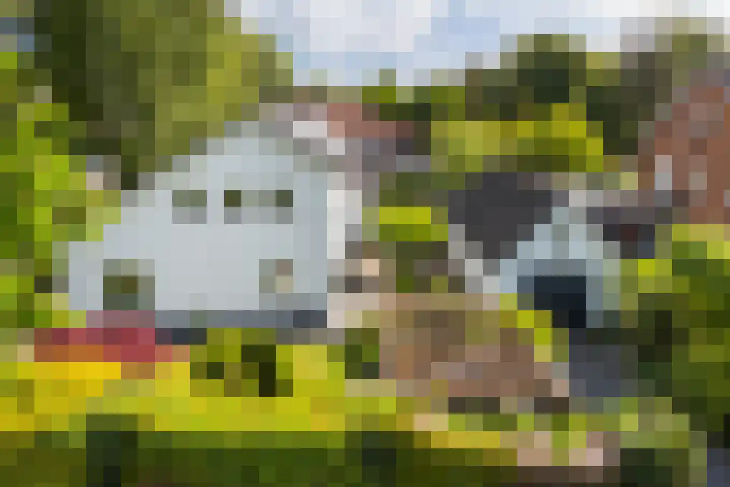 Van Renesselaan 43 A Zeist thumbnail 9