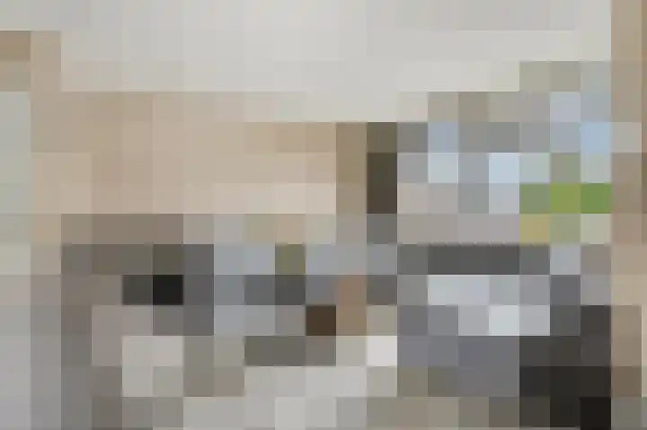 Van Renesselaan 48 Barneveld thumbnail 10