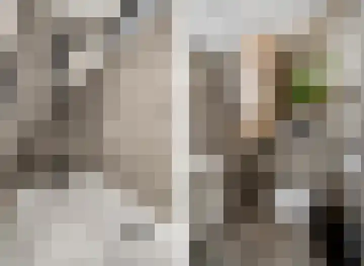 Van Renesselaan 48 Barneveld thumbnail 32