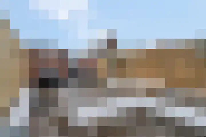 Van Renesselaan 48 Barneveld thumbnail 36