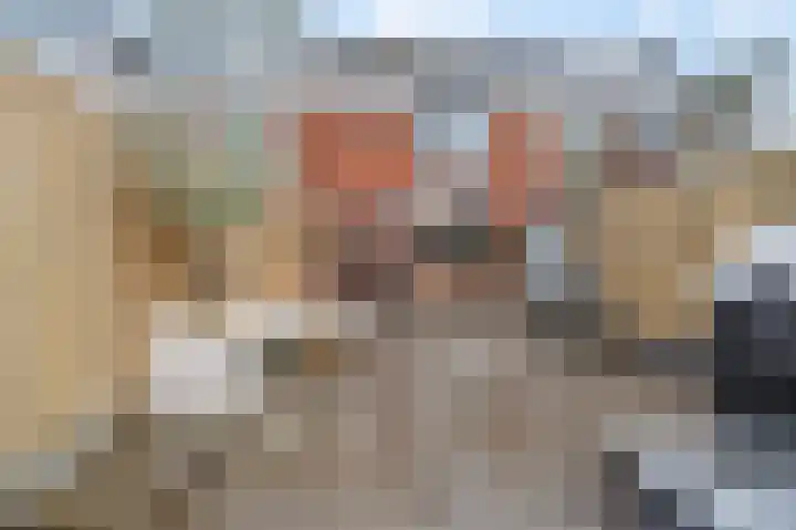 Van Renesselaan 48 Barneveld thumbnail 38