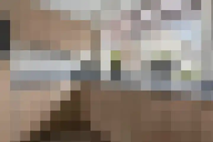 Van Renesselaan 50 Barneveld thumbnail 10