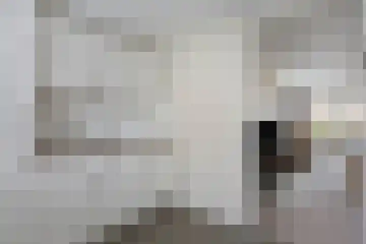 Van Renesselaan 50 Barneveld thumbnail 17