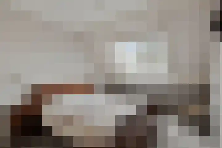 Van Renesselaan 50 Barneveld thumbnail 21