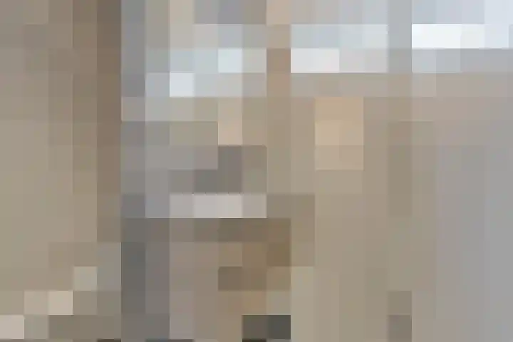 Van Renesselaan 50 Barneveld thumbnail 27