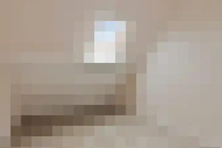 Van Renesselaan 50 Barneveld thumbnail 30