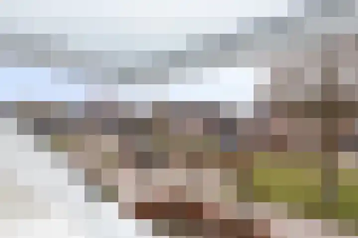 Van Renesselaan 50 Barneveld thumbnail 32