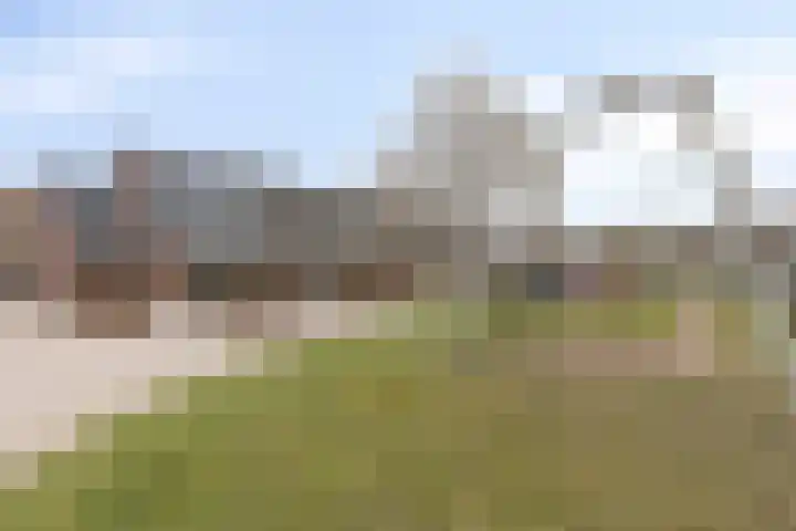 Van Renesselaan 50 Barneveld thumbnail 38