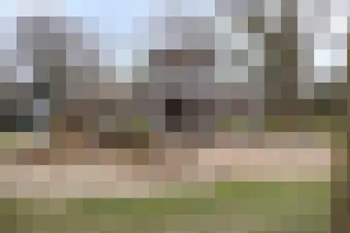 Van Renesselaan 50 Barneveld thumbnail 39
