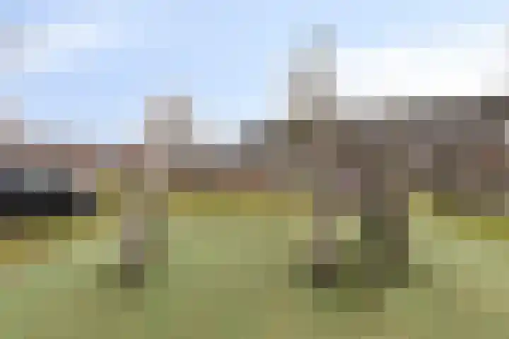 Van Renesselaan 50 Barneveld thumbnail 40