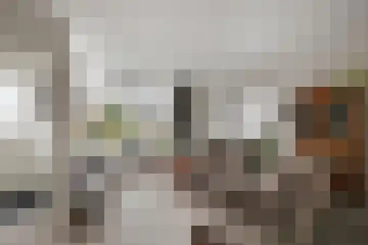 Van Renesselaan 50 Barneveld thumbnail 5