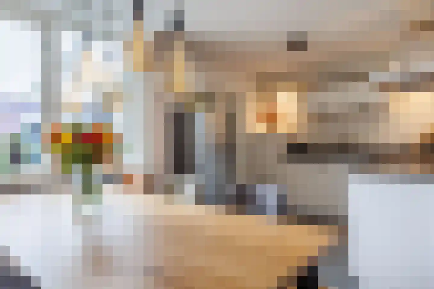 Van Renessestraat 11 Sevenum thumbnail 13