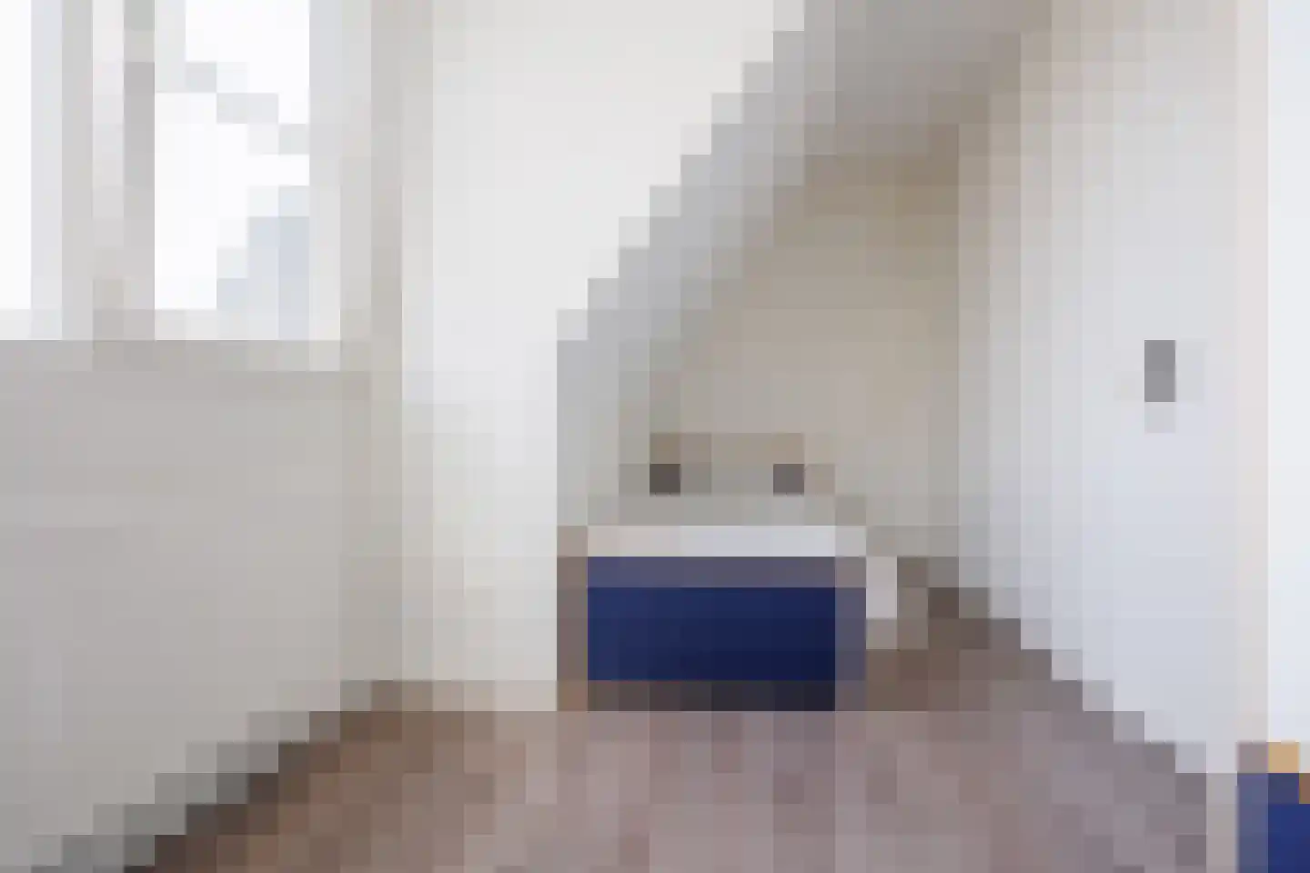 Van Renessestraat 11 Sevenum thumbnail 24