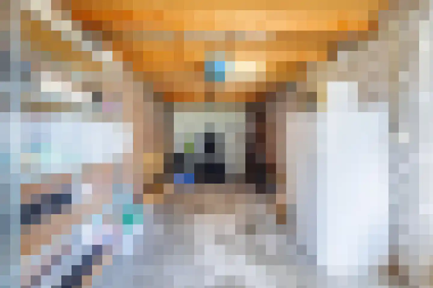 Van Renessestraat 11 Sevenum thumbnail 29