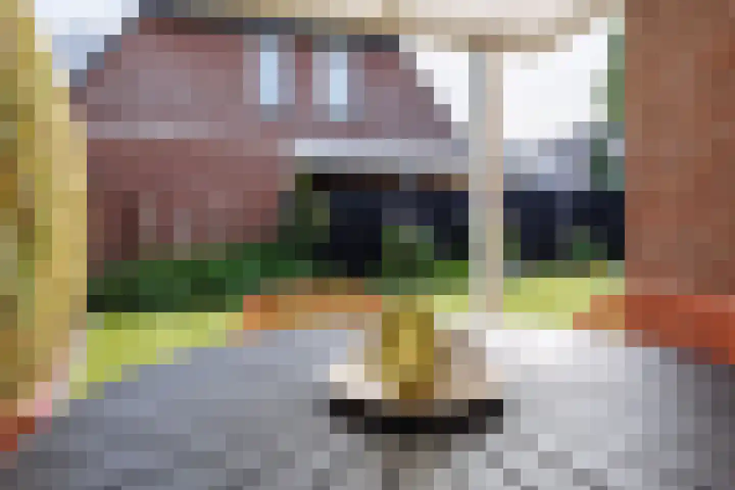 Van Renessestraat 11 Sevenum thumbnail 32