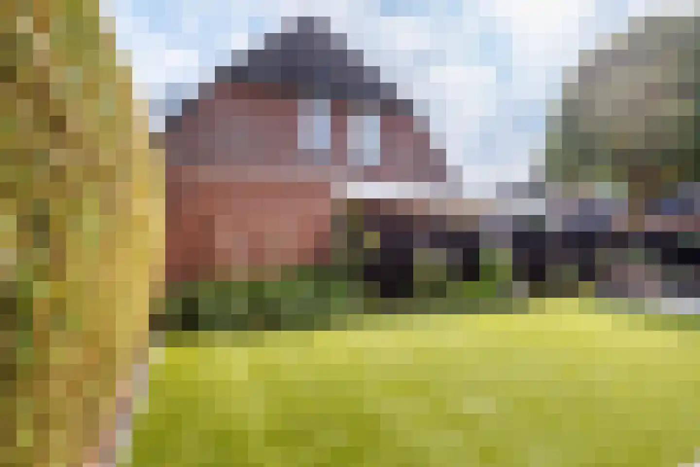Van Renessestraat 11 Sevenum thumbnail 34