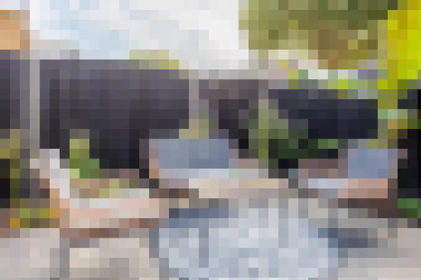 Van Renessestraat 11 Sevenum thumbnail 38