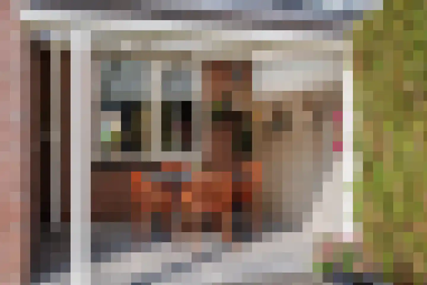 Van Renessestraat 11 Sevenum thumbnail 39