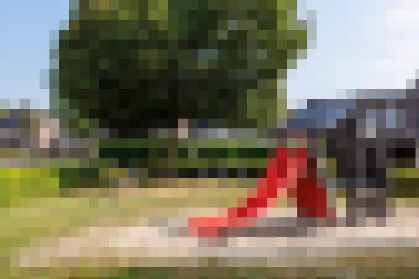 Van Renessestraat 11 Sevenum thumbnail 47
