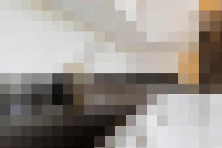 Van Renessestraat 18 Sevenum thumbnail 18