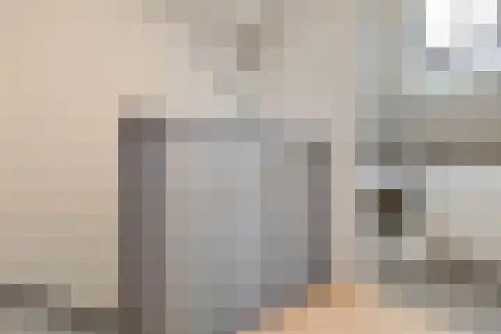 Van Renessestraat 18 Sevenum thumbnail 33