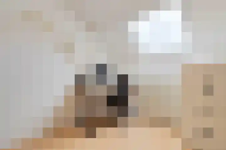 Van Renessestraat 18 Sevenum thumbnail 36