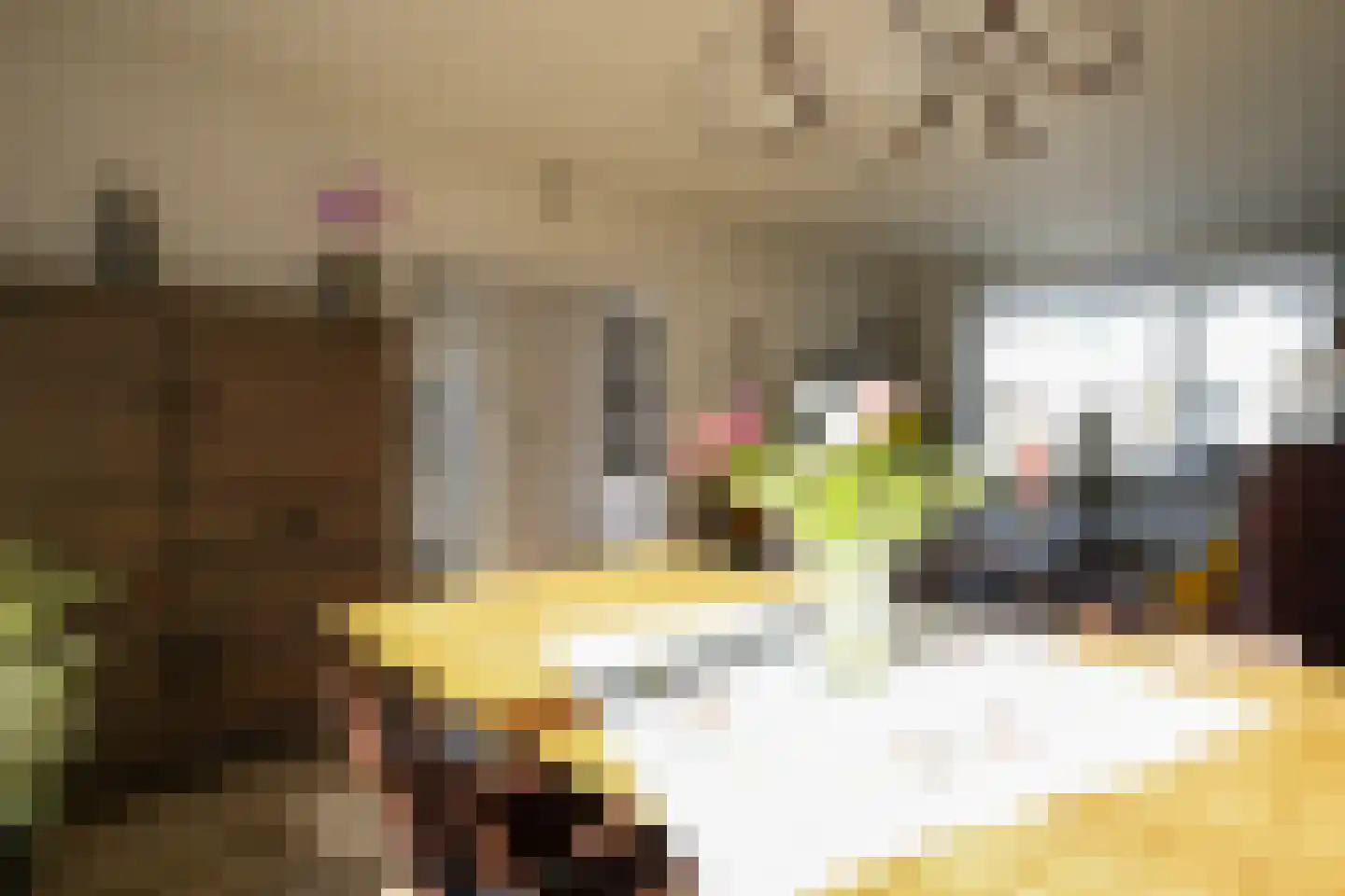 van Renessestraat 19 Vijlen thumbnail 6