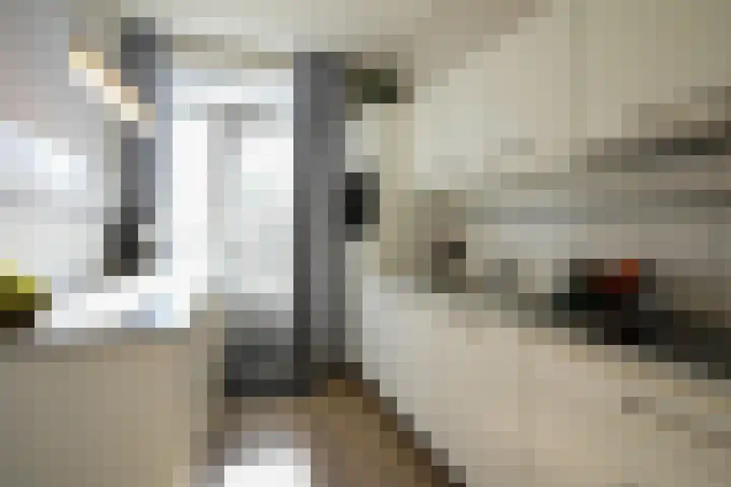 van Renessestraat 19 Vijlen thumbnail 8