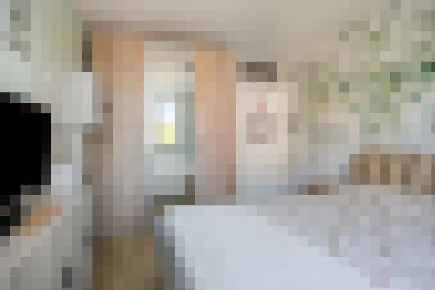 Van Renessestraat 21 Sevenum thumbnail 15
