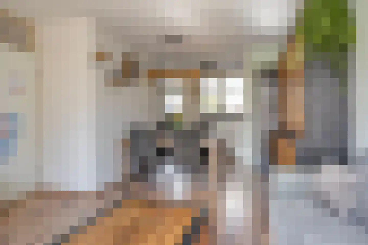 Van Renessestraat 21 Sevenum thumbnail 5