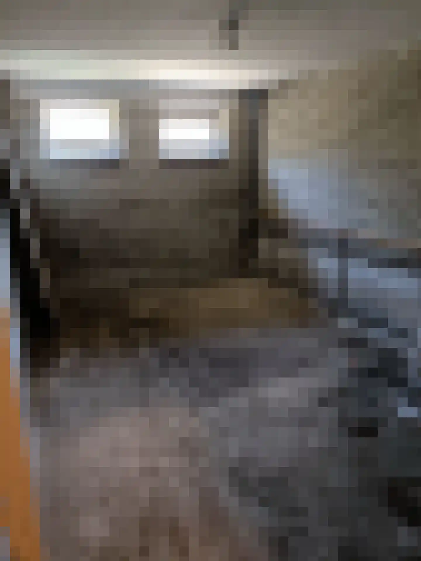 van Renesseweg 14 Eindhoven thumbnail 13