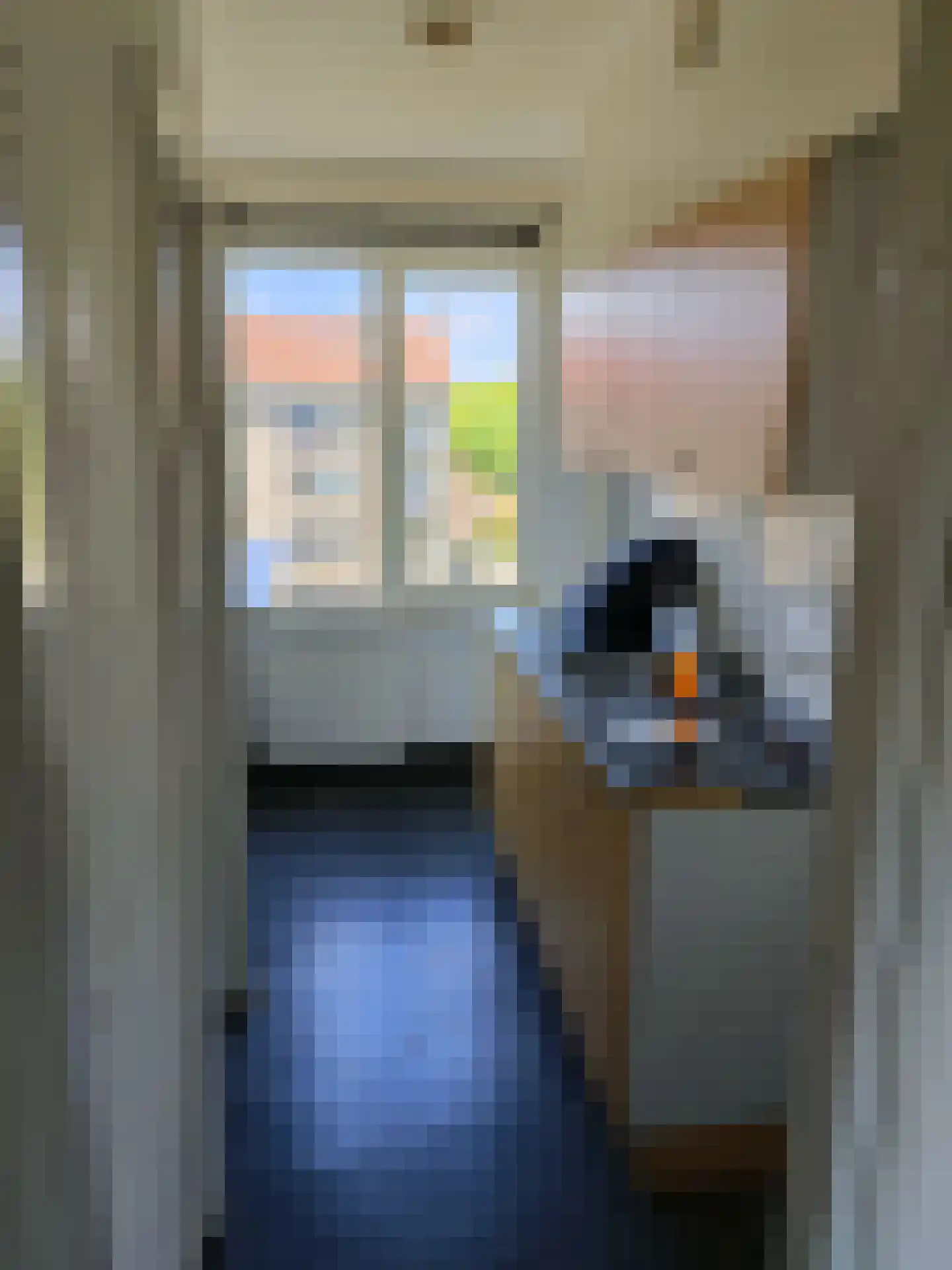 van Renesseweg 14 Eindhoven thumbnail 5