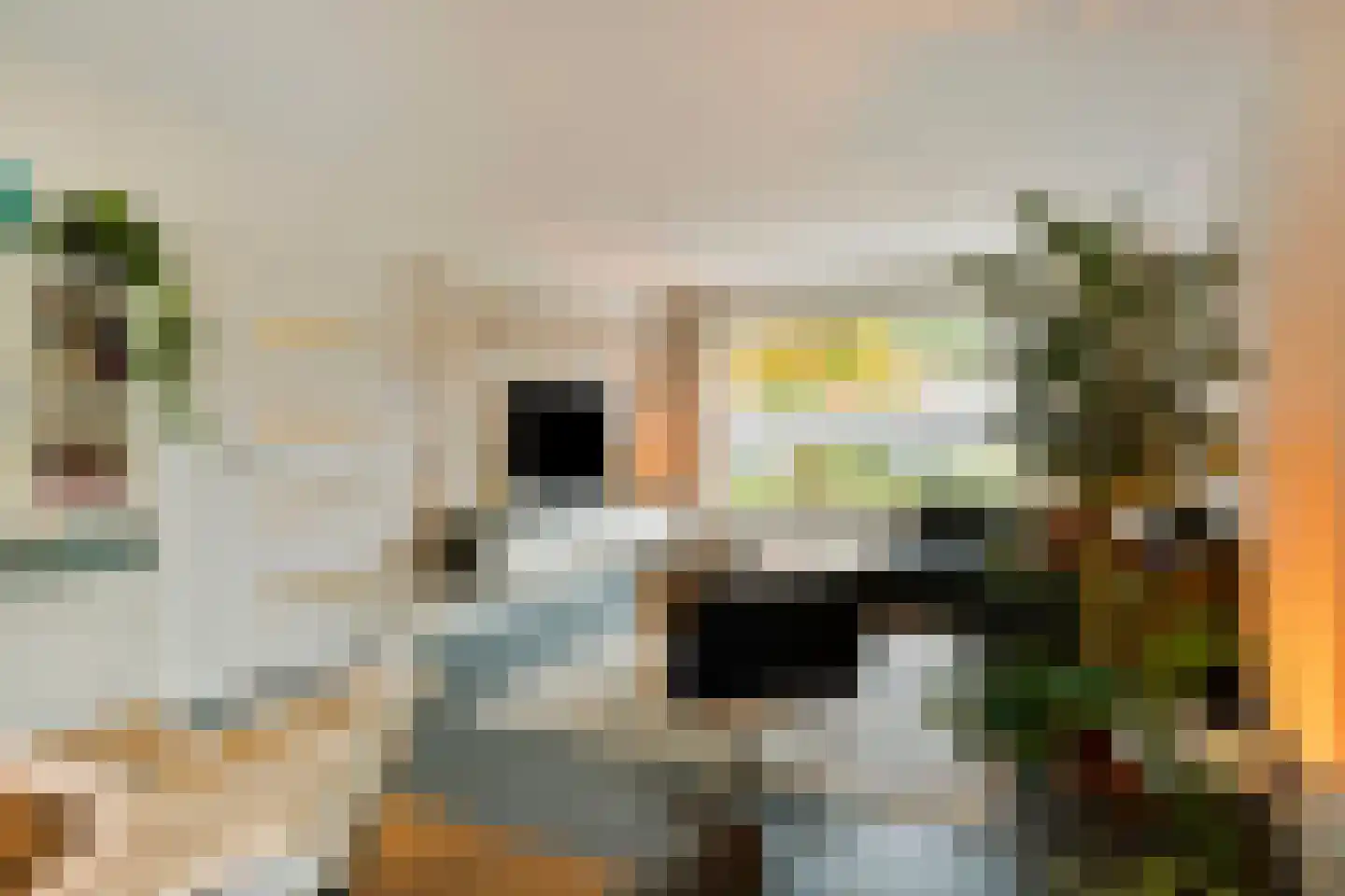 van Renesseweg 17 Eindhoven thumbnail 11