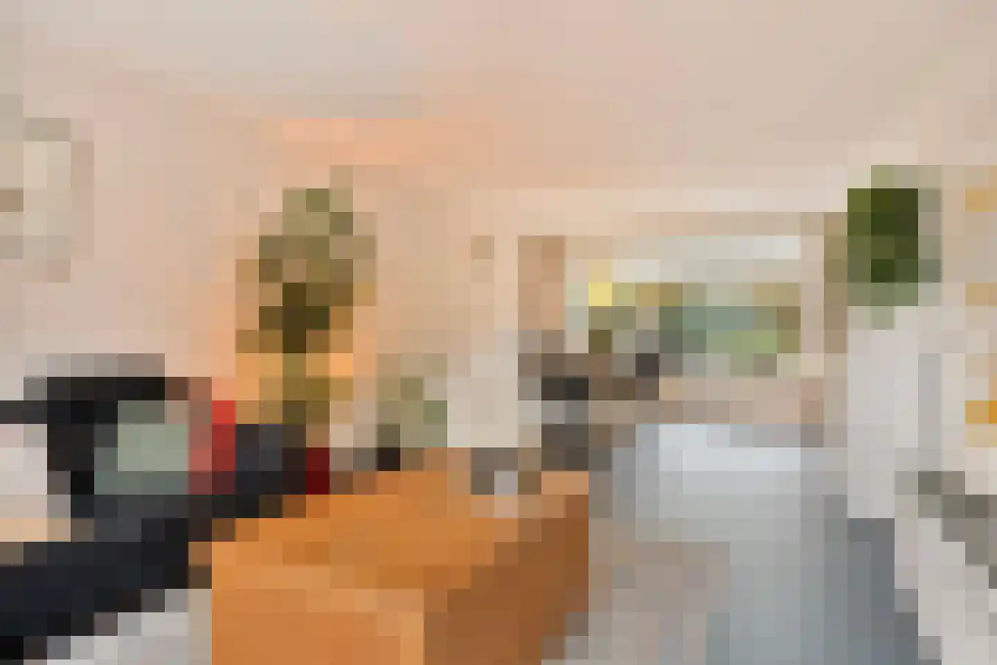 van Renesseweg 17 Eindhoven thumbnail 13