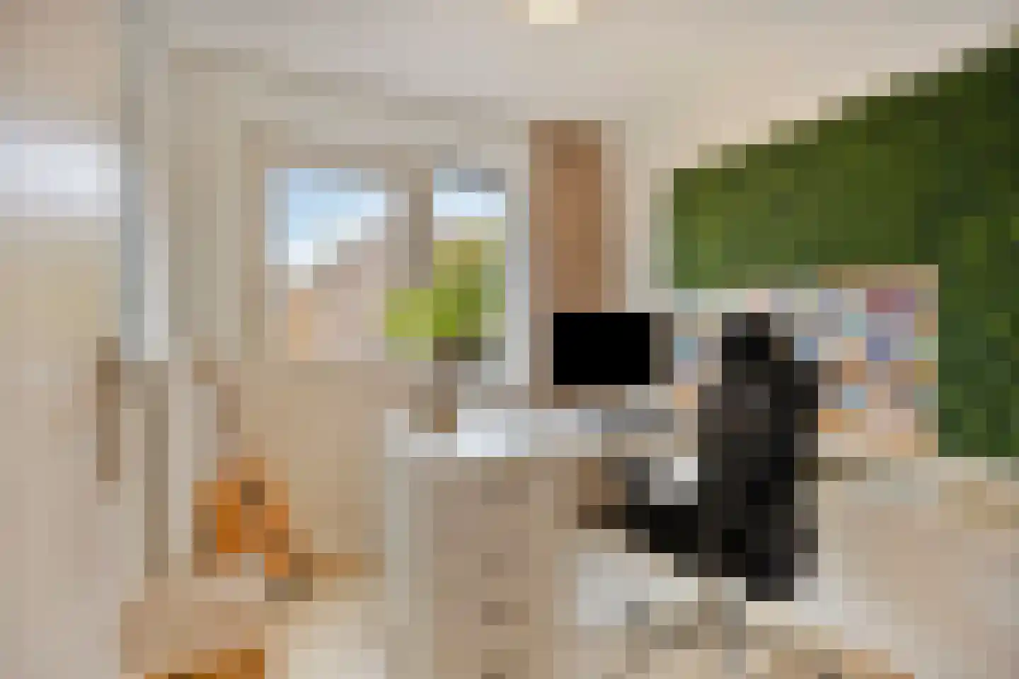 van Renesseweg 17 Eindhoven thumbnail 28