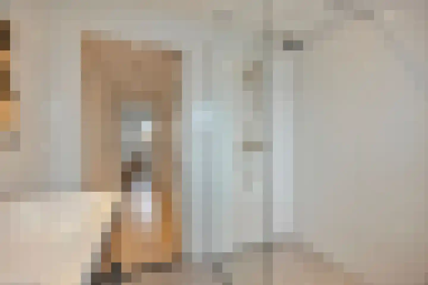 van Renesseweg 17 Eindhoven thumbnail 31