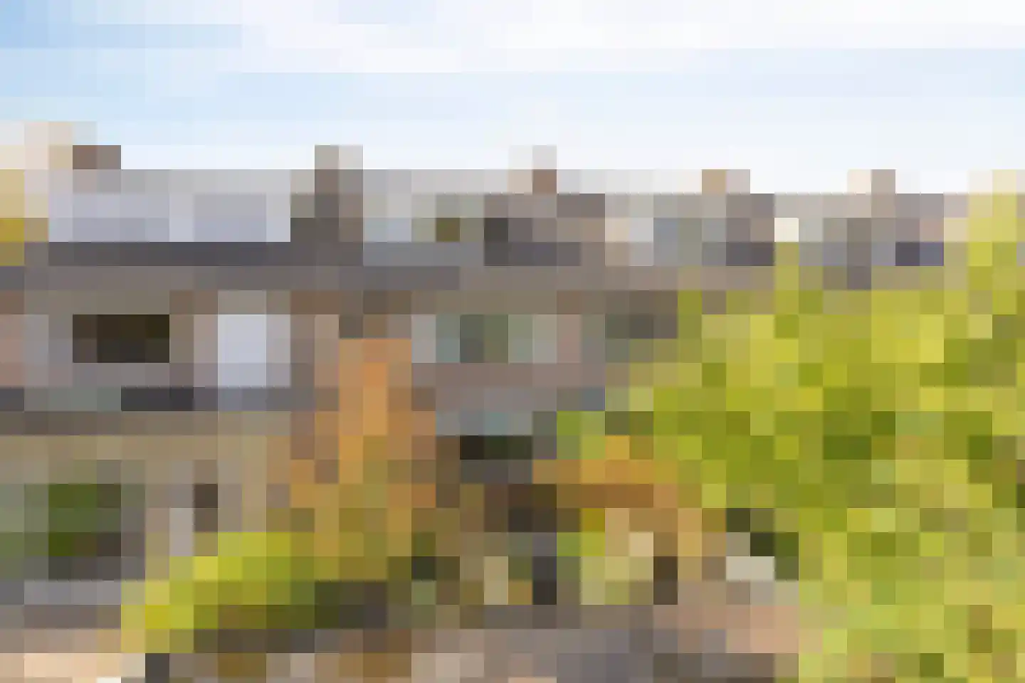 van Renesseweg 17 Eindhoven thumbnail 36