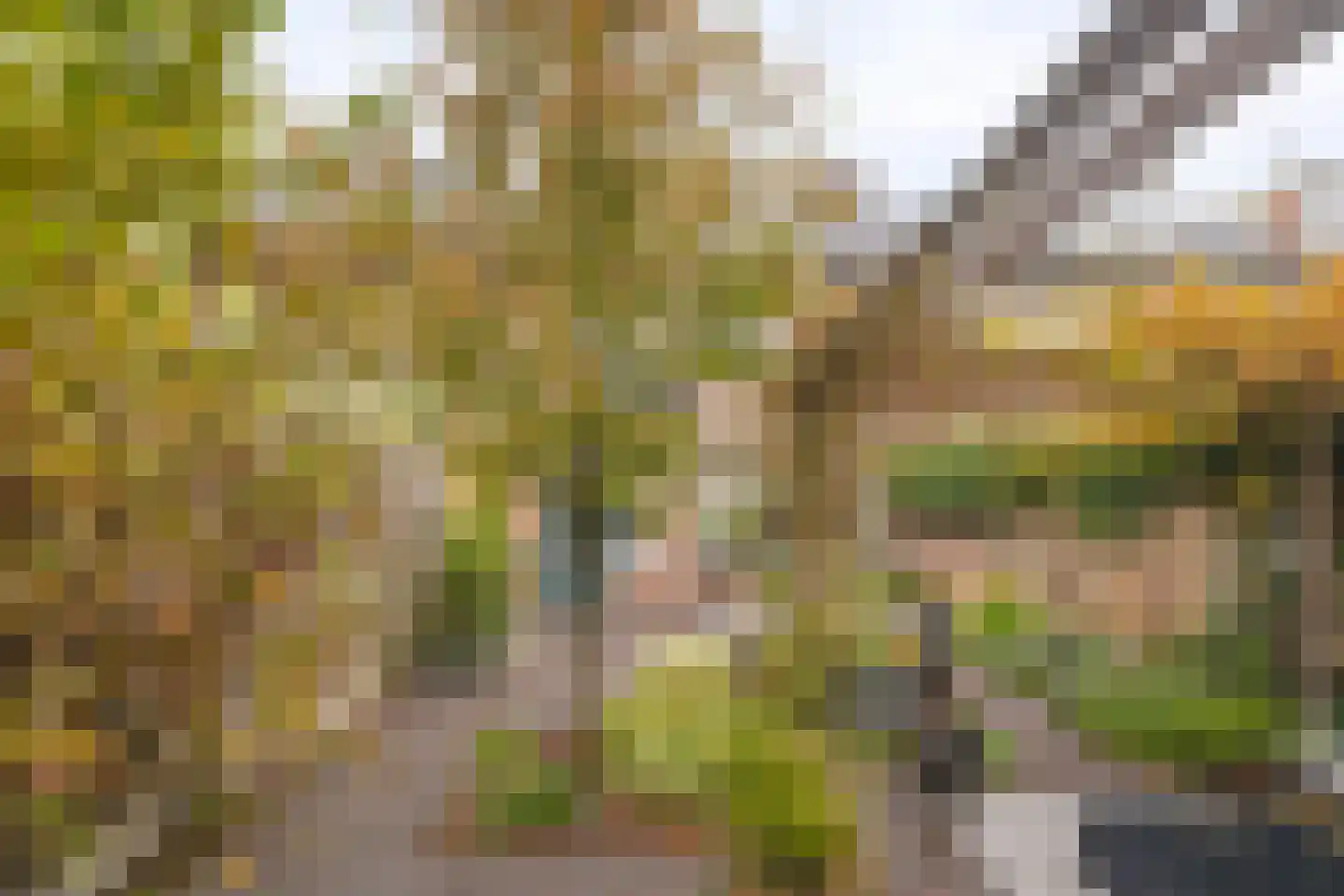 van Renesseweg 17 Eindhoven thumbnail 37
