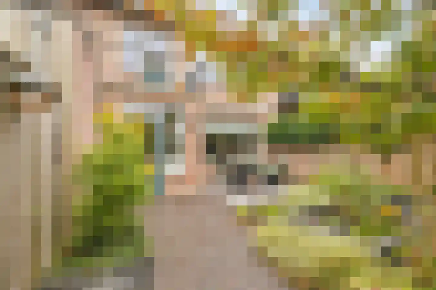 van Renesseweg 17 Eindhoven thumbnail 38