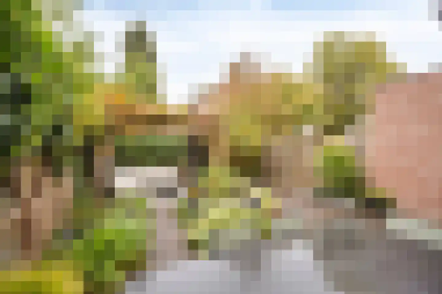 van Renesseweg 17 Eindhoven thumbnail 40
