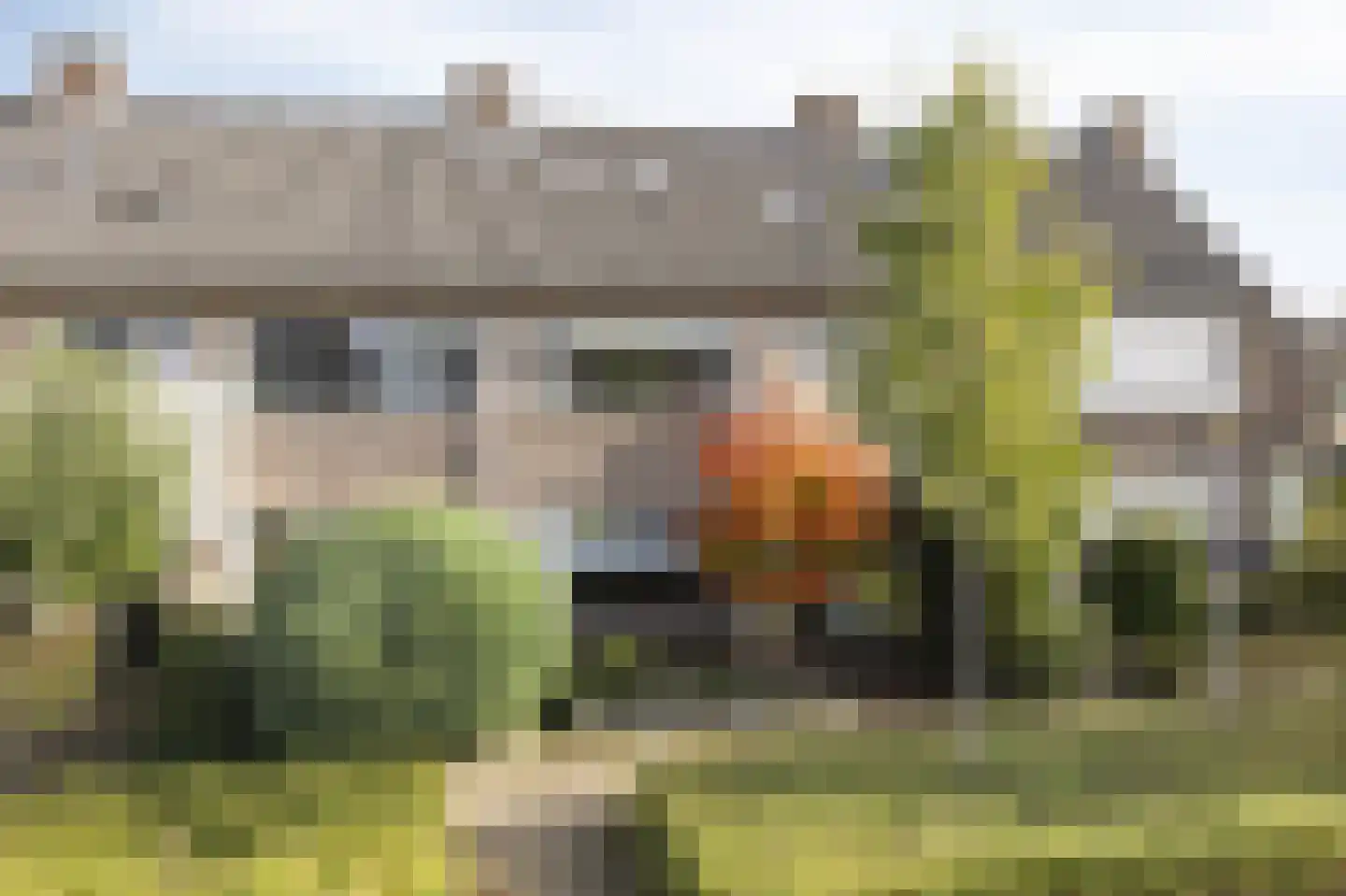 van Renesseweg 17 Eindhoven thumbnail 43