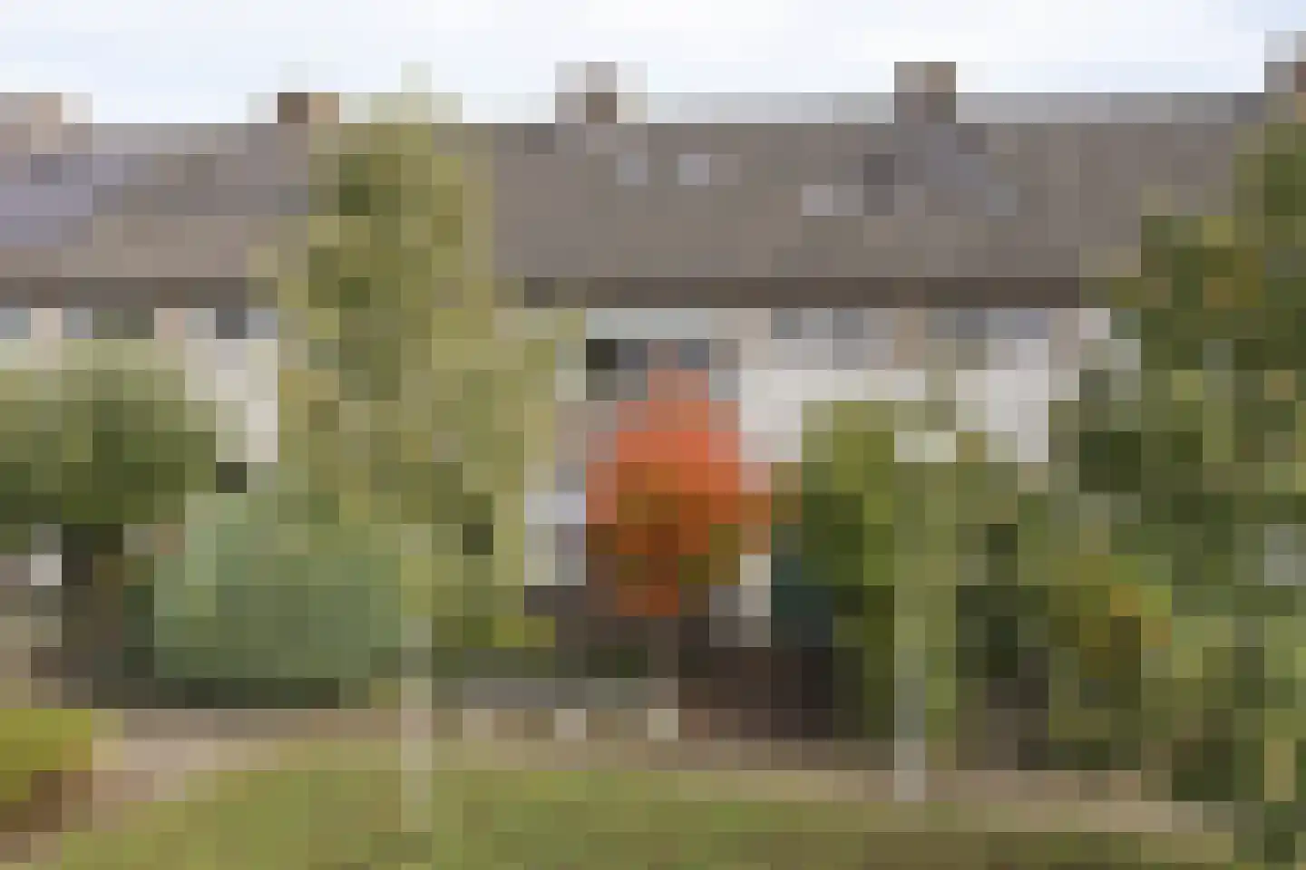 van Renesseweg 17 Eindhoven thumbnail 44