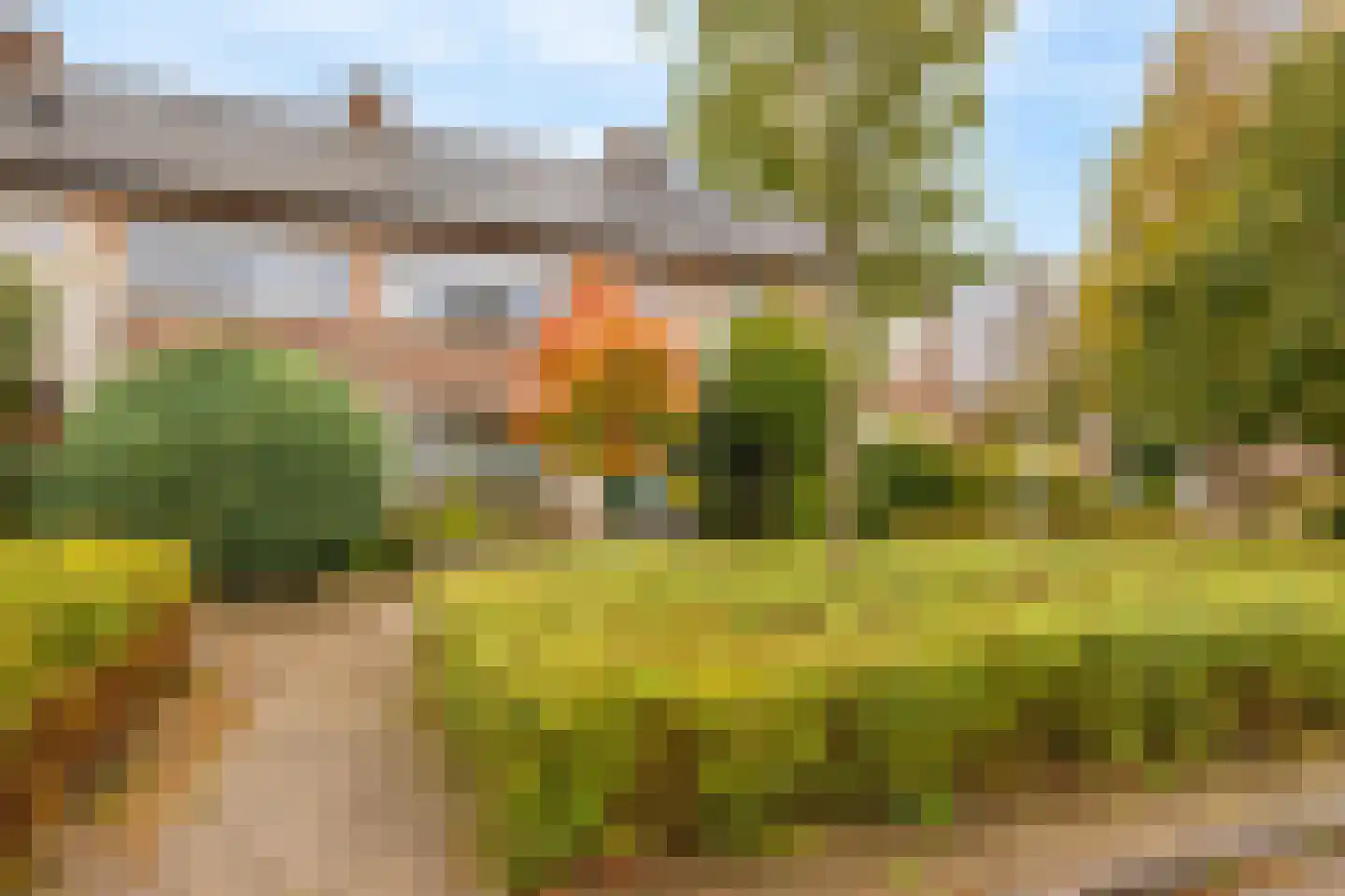 van Renesseweg 17 Eindhoven thumbnail 46