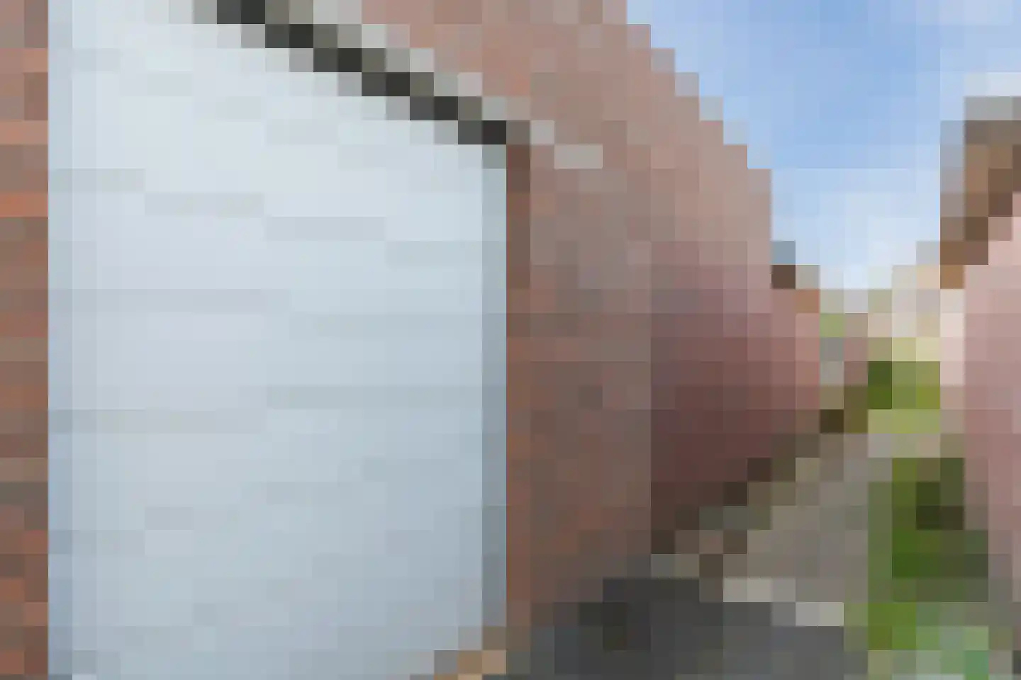 van Renesseweg 90 Eindhoven thumbnail 32