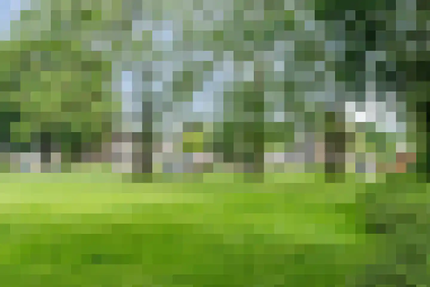 van Renesseweg 90 Eindhoven thumbnail 41