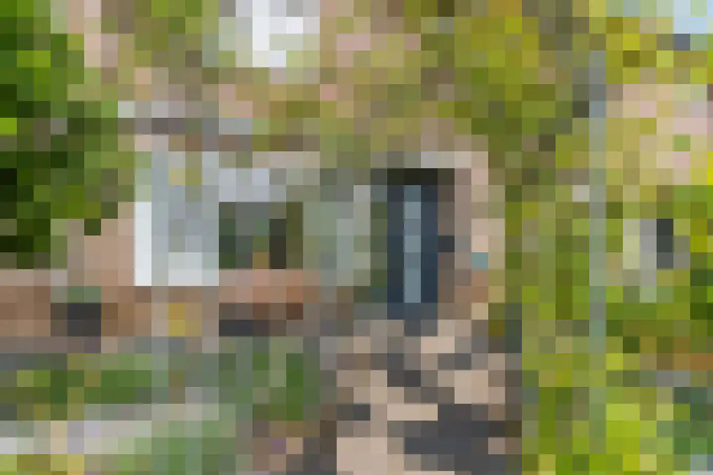 van Renesseweg 90 Eindhoven thumbnail 5