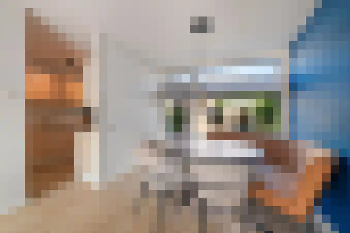 van Rennesstraat 8 Schagen thumbnail 10