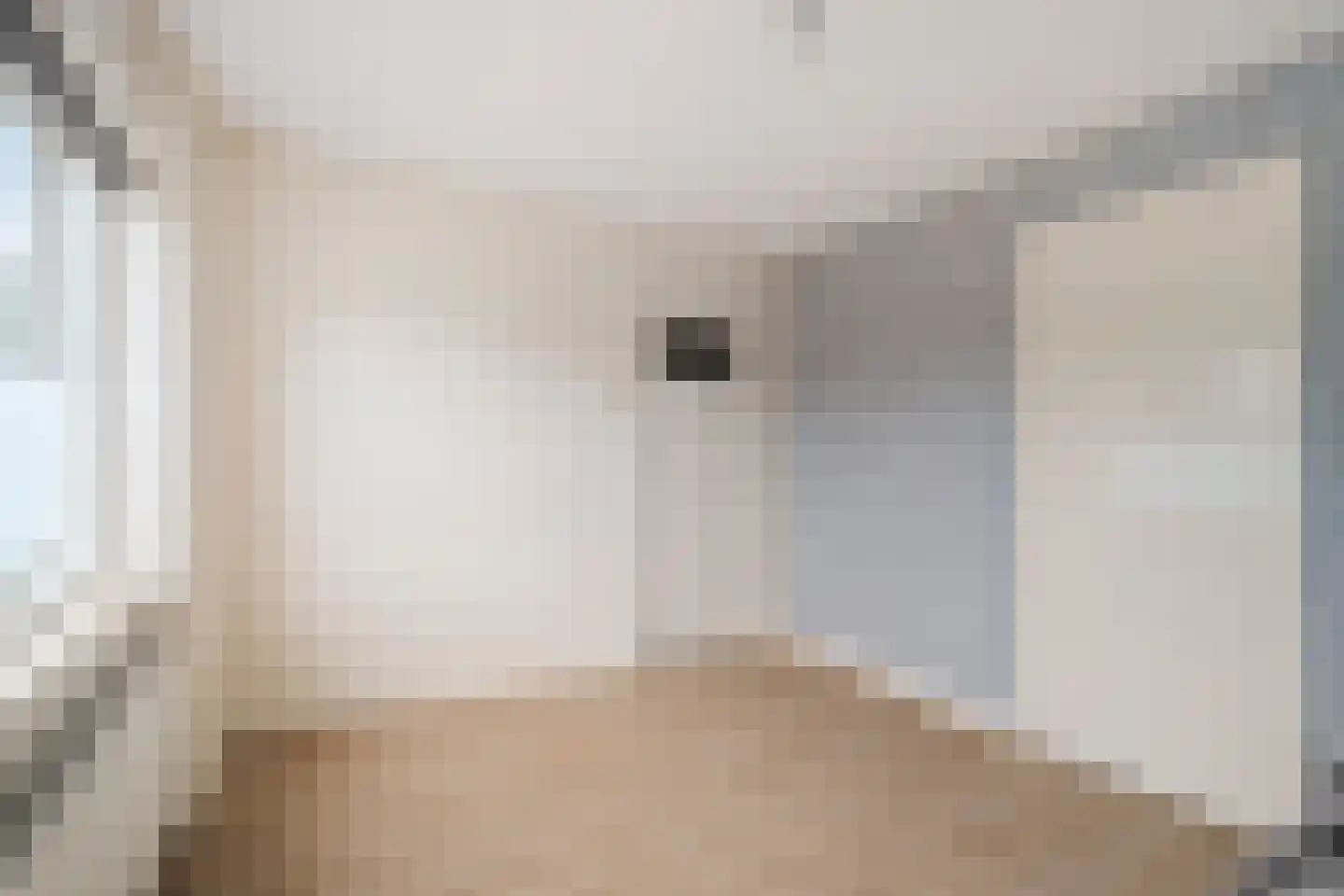van Rennesstraat 8 Schagen thumbnail 24